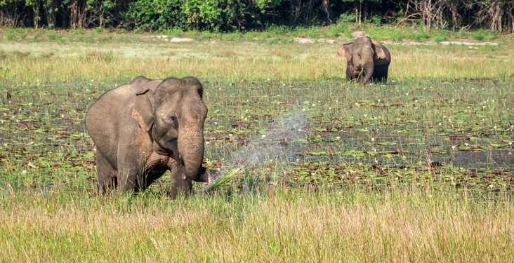 Top 7 highlights of Sri Lanka